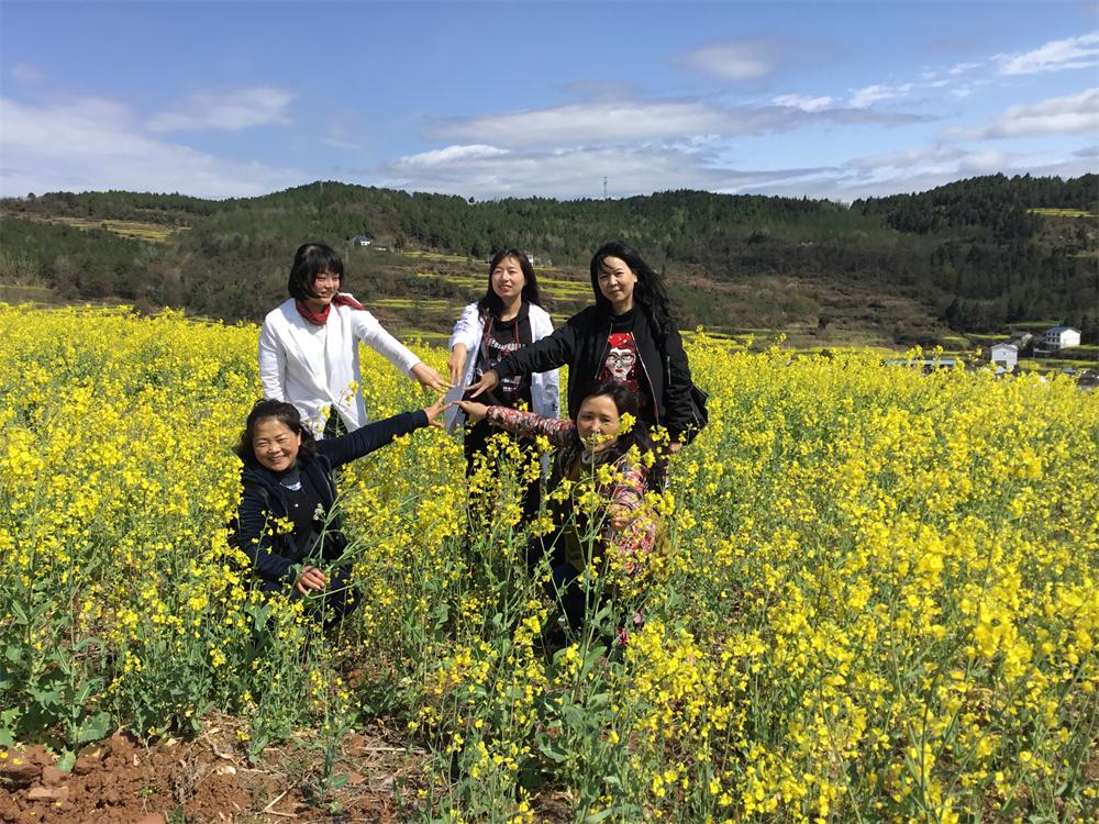 醉在油菜花中 周琼总.jpg